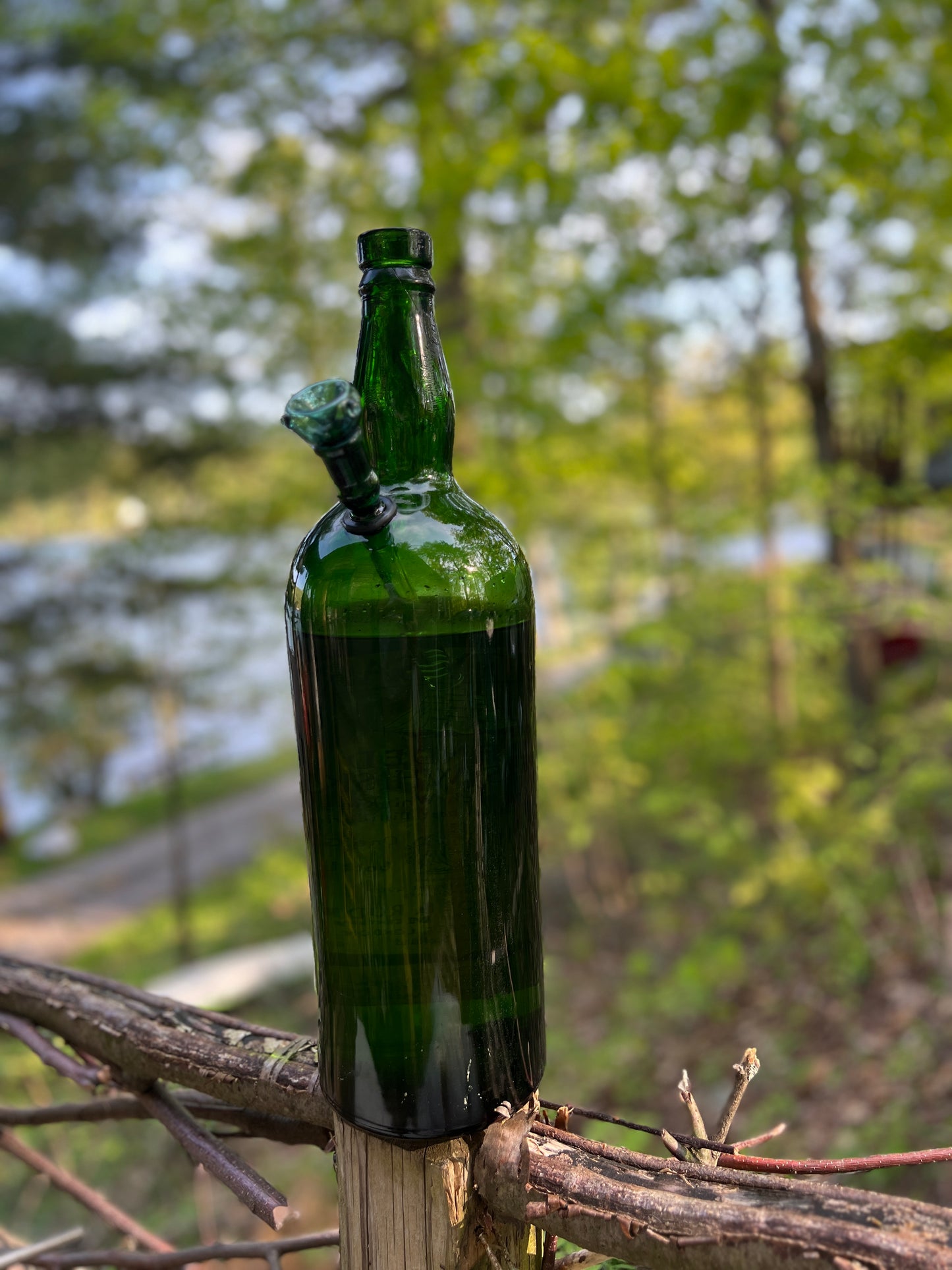 Ninteen Inch tall Cutty Sark Whiskey bottle from the 1950's Bongo