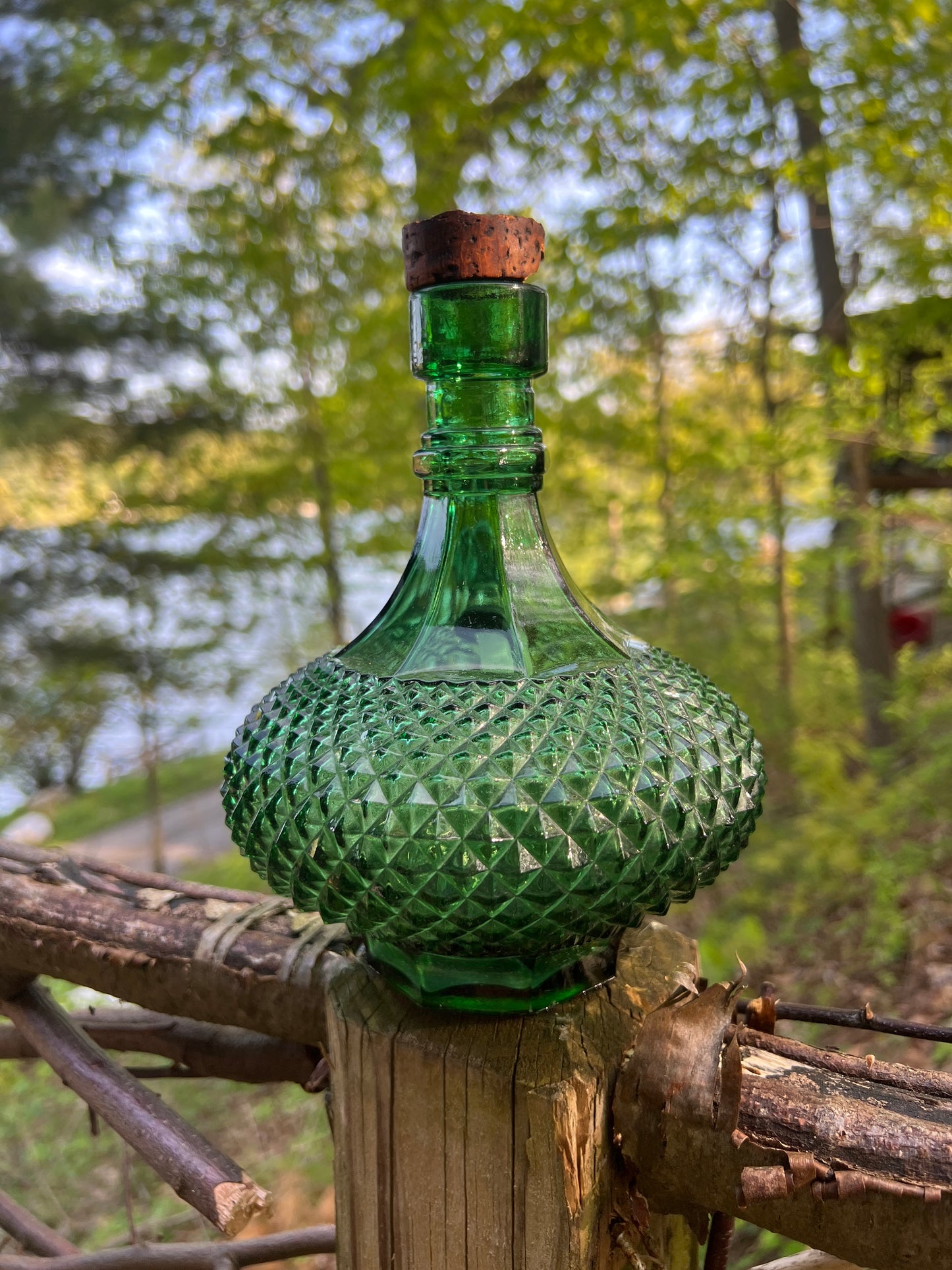 Green Genie 1960s bottle Bongo