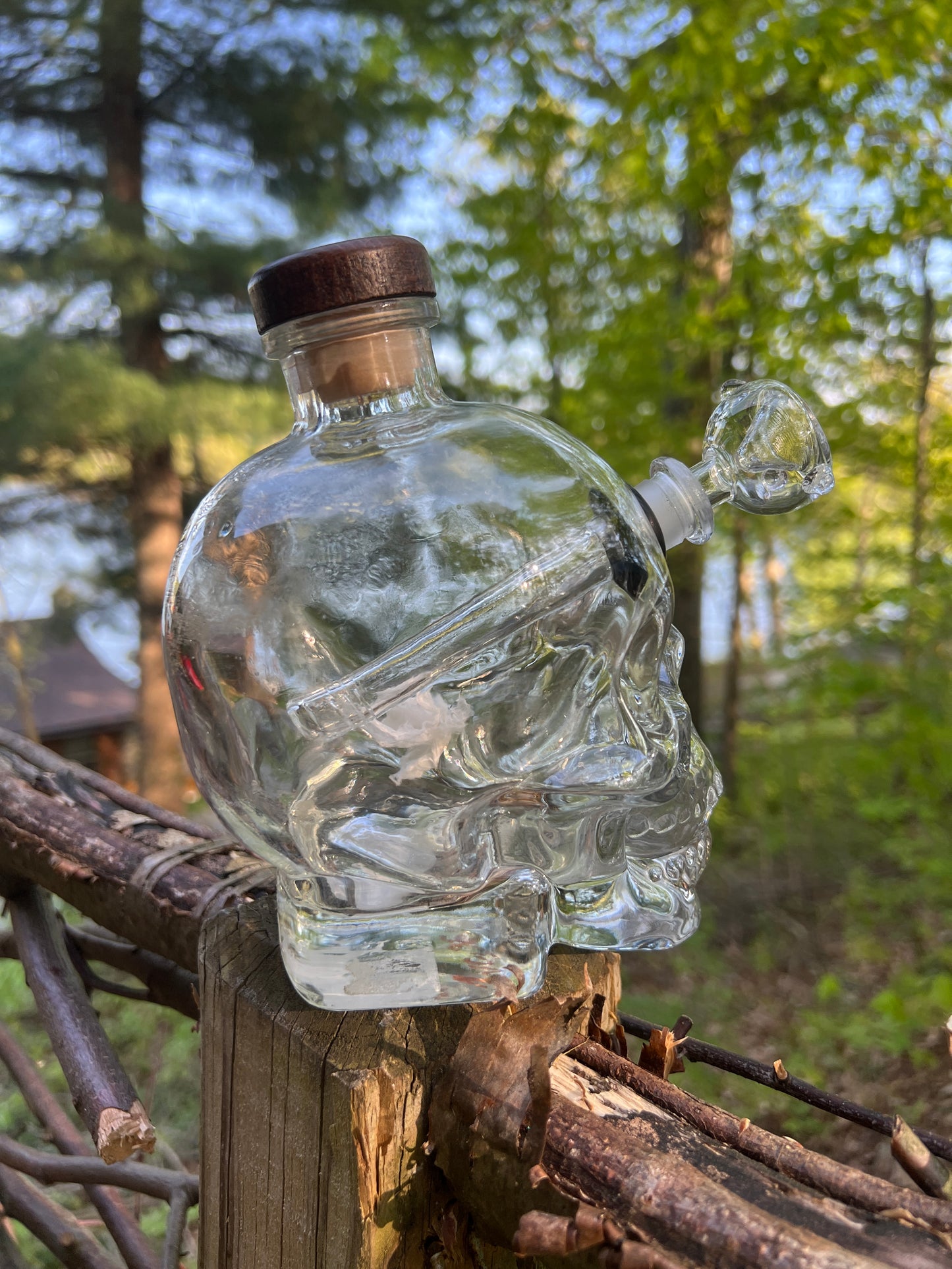Crystal Skull Vodka Bottle Bongo!