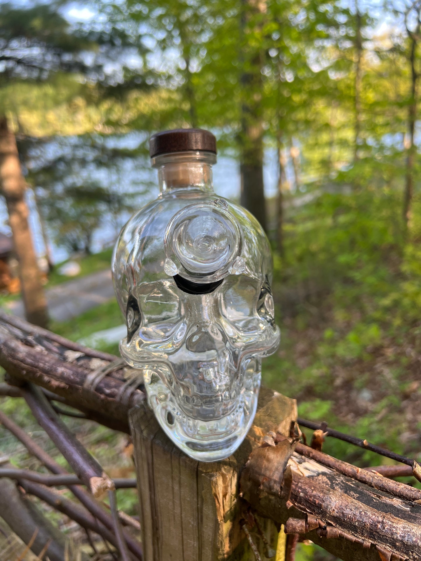 Crystal Skull Vodka Bottle Bongo!