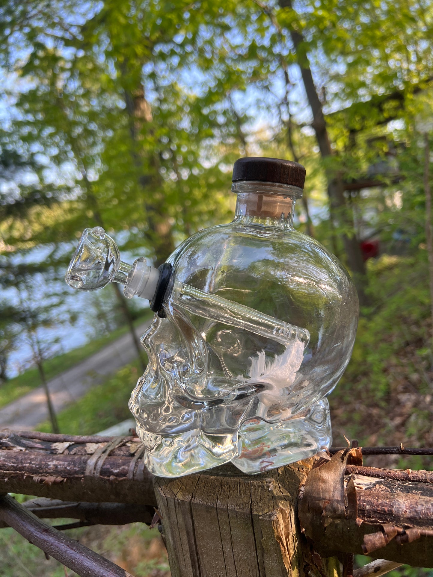 Crystal Skull Vodka Bottle Bongo!